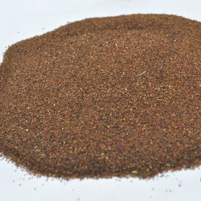 大花美人襟种子